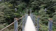 L'île de Yakushima - Shiratani Unsuikyo, la forêt de Princesse Mononoké