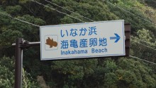 Inakahama Beach, la plage des tortues