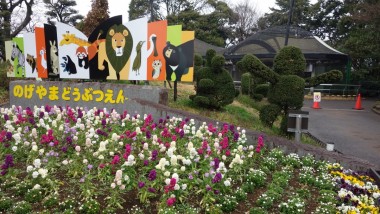 Zoo de Yokohama